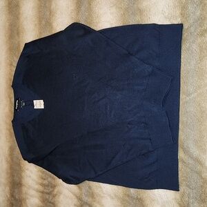 Express V neck Merino wool blend sweater